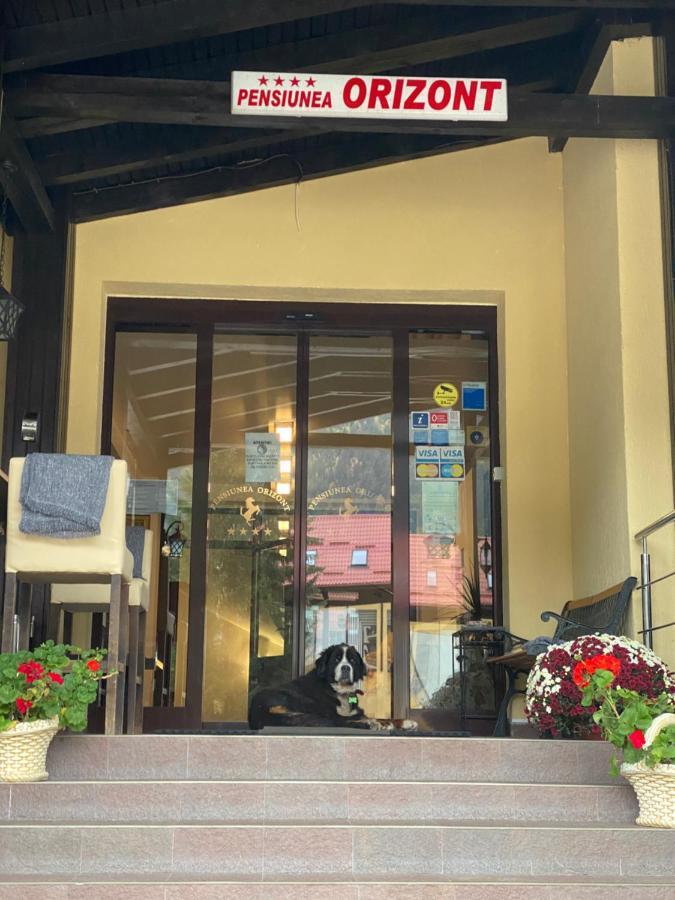 Pensiunea Orizont Poiana Brasov Exterior foto